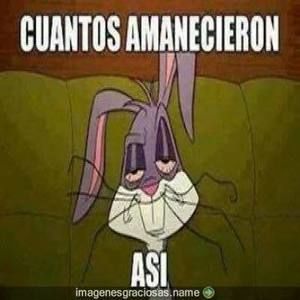 Meet your Posher, Mel